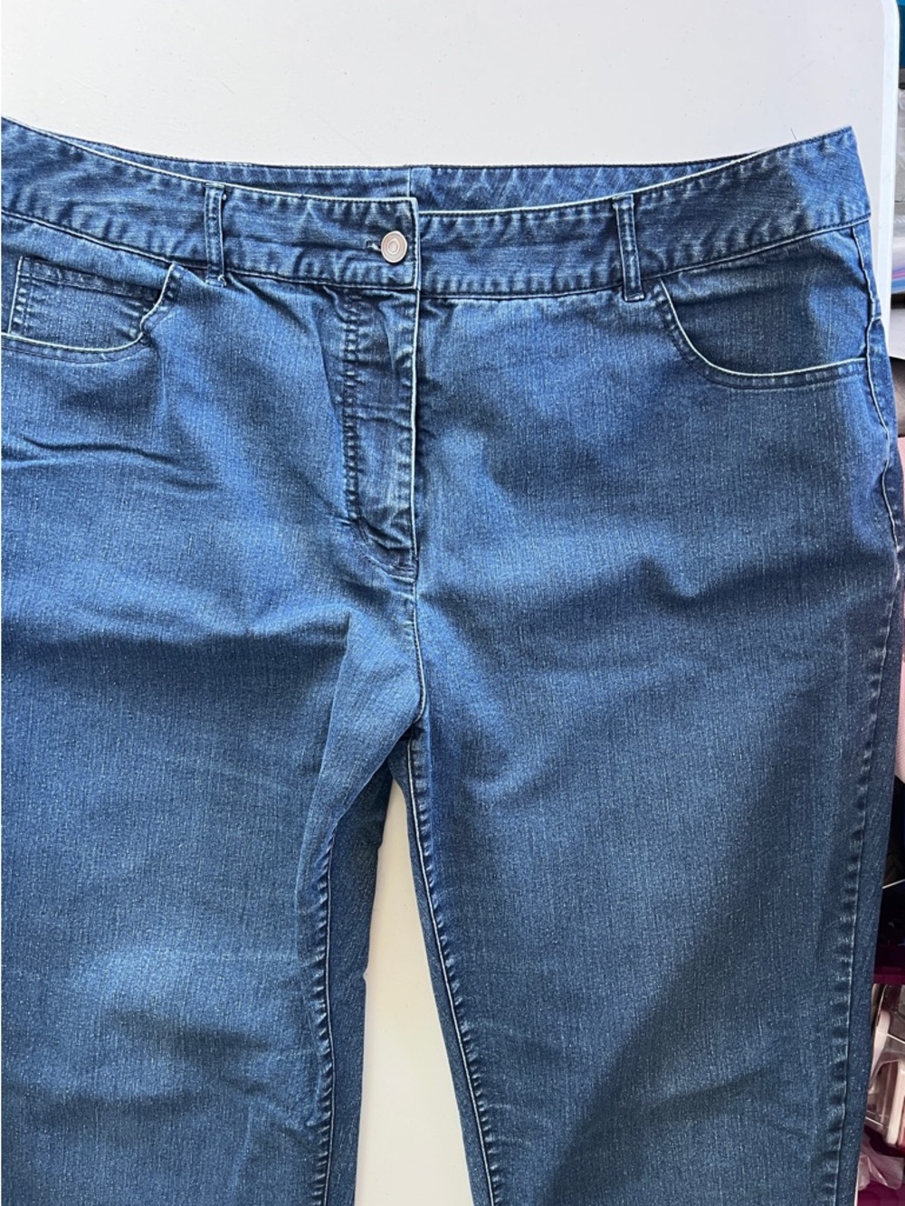 APPLESEED’S WOMAN Jeans 20W Straight Comfy!